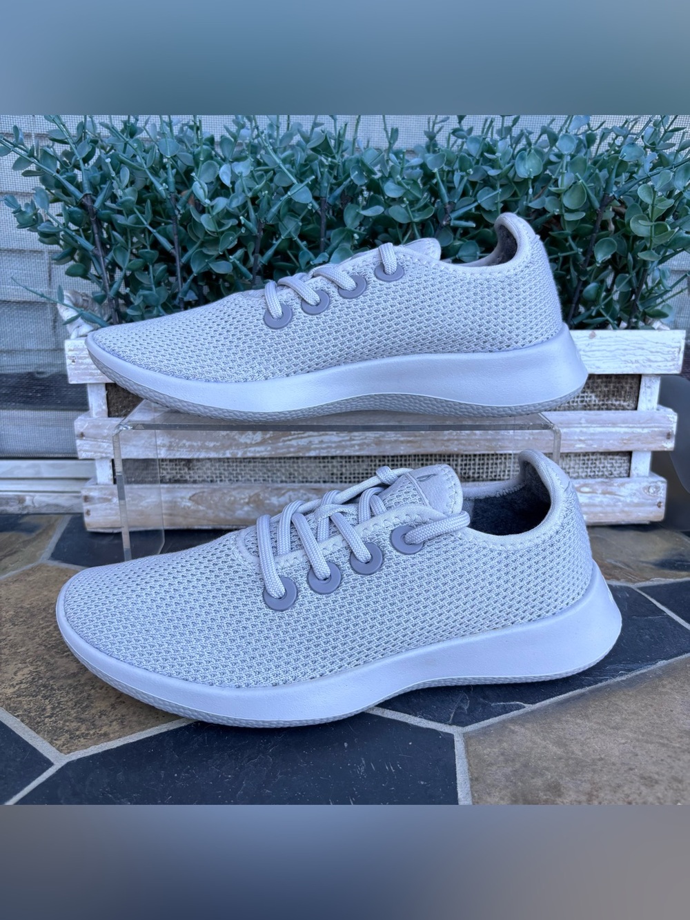 allbirds Women's Tree Runner NEW